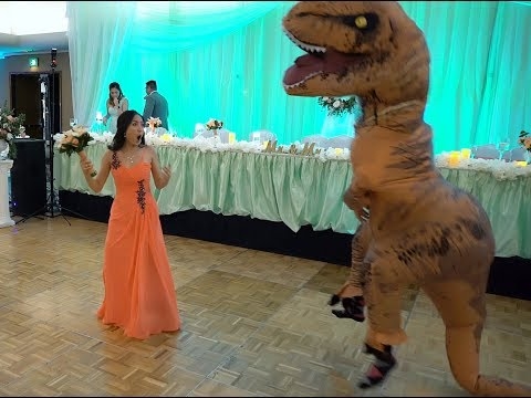 Wedding video with the bride in a suit of tyrannosaur