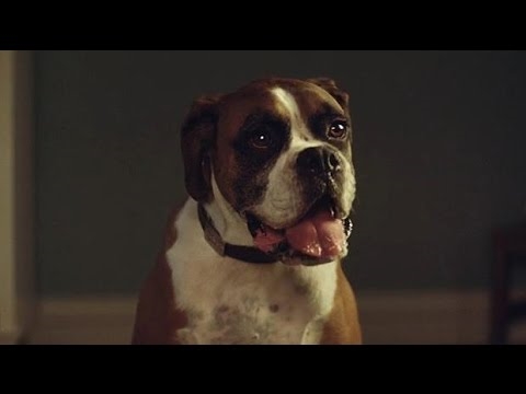 Beasts on a trampoline in a Christmas ad for John Lewis