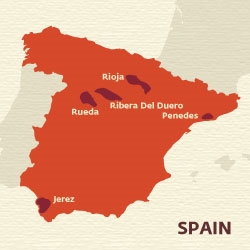Di Spanyol, mereka menemukan anggur biru cerah