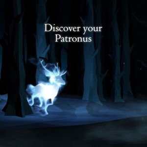 Harry Potter fans test: find out who your Patronus is