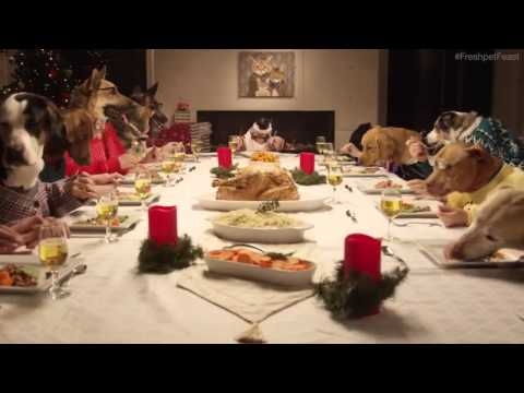 13 Hunde und eine Katze feiern Weihnachten am selben Tisch