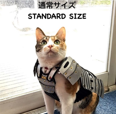Gracias, Japón: Samurai Pet Armor