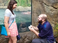 Hippo Fiona palaimino amerikiečių pora