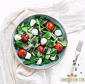 10 insalate estive leggere ma nutrienti
