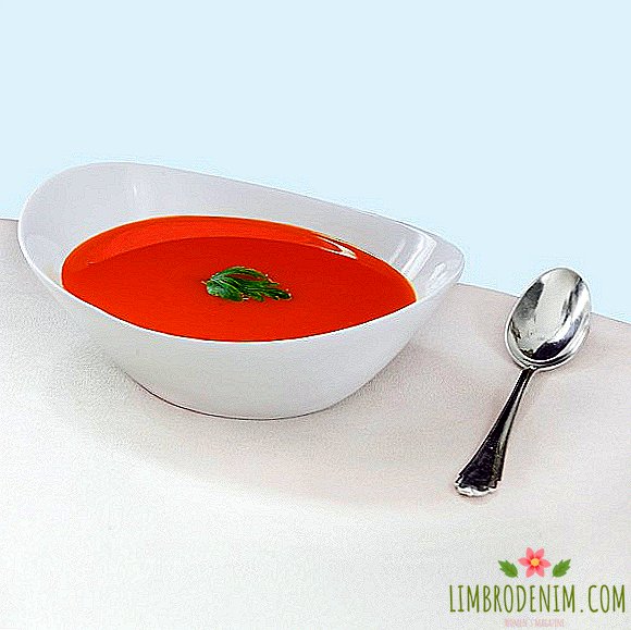Vzemite s seboj: 10 receptov za kremno juho