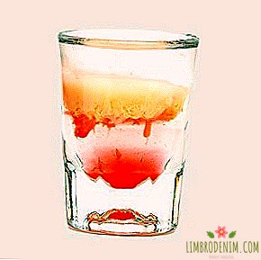 Stronger and Shorter Drinks: 10 Warming Shots Recipes
