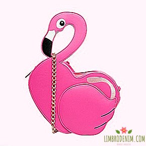 Vasara ir tuvu: 15 savvaļas lietas ar rozā flamingo