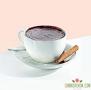 الحلو نوفمبر: 15 وصفات الشوكولاته الساخنة