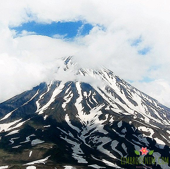 Vandretur over Kamchatka: 160 km til fods og stigning til en vulkan