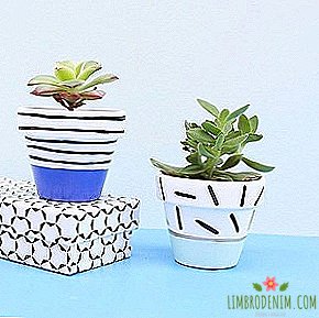 أصدقائي الأخضر: 20 instagrams مع النباتات النضرة