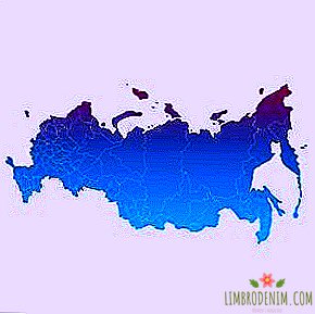 30 peristiwa tahun yang mengubah kehidupan di Rusia