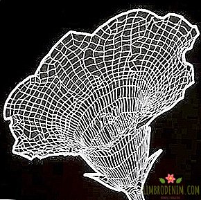 3D-blomma tröja Christopher Kane