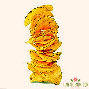 우마미의 맛 : 글루탐산 나트륨에 관한 9 가지 신화