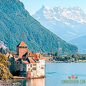 हेड्रॉन कोलाइडर, पार्टियां और पहाड़: मैं स्विट्जरलैंड कैसे चला गया