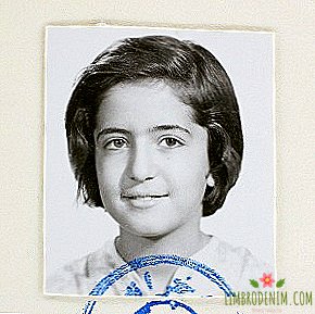 "Afsaneh": Woman's Life in Passport Photos