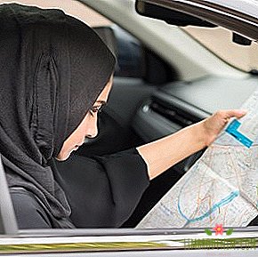 Gadis nakal: Mengapa wanita Arab Saudi diizinkan mengemudi