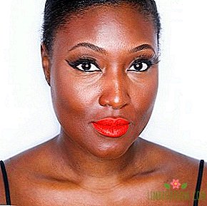 Dấu trang: Blog Brown đẹp về vẻ đẹp của làn da tối