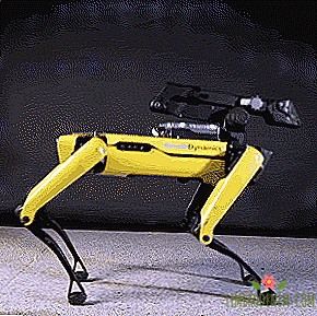 Robot de danse Boston Dynamics