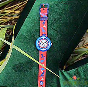 Αστεία Flik Flak πολύχρωμα ρολόγια