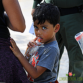 एवियरी में बच्चे: संयुक्त राज्य अमेरिका में कैसे और क्यों अलग प्रवासी परिवार हैं