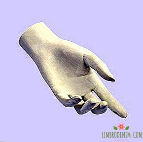 ホームマニキュア：あなたの手を正しくケアする方法
