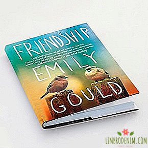 "Persahabatan" Emily Gould sebagai akibat kemunafikan sejagat