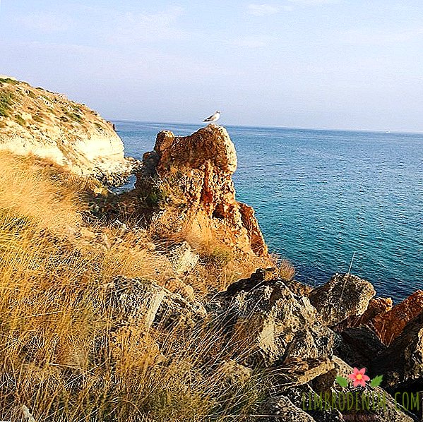 Two weeks savage: How I went to the Crimea with a tent all alone