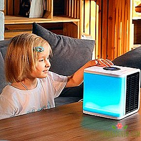 Evapolar Personal Air Conditioner and Humidifier