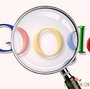 Desarrollador de Google sobre lo que la gente está buscando en Internet.
