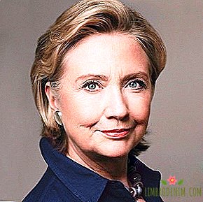 Hillary Clinton og hendes trygge vej i stor politik