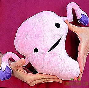 I Heart Guts: Plush womb, brain and more