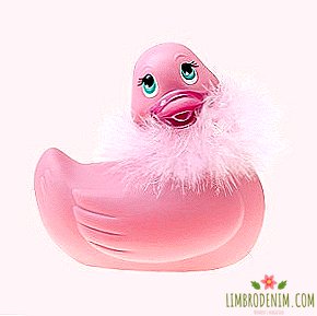 Lekfull Vibrerende Duck Jeg Rub My Duckie