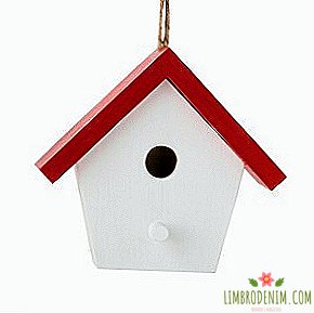 이케아 크리스마스 장난감 : Bullfinches 사중주와 그들을위한 주택