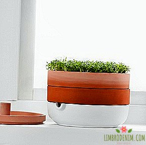 IKEA sprouting pot