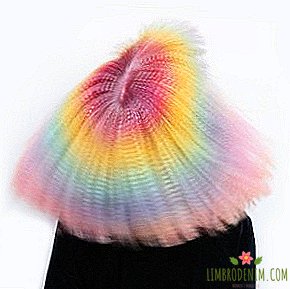 フォローする：Instagram INFRINGEと幻想的なヘアスタイル