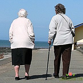 "Ινστιτούτο γιαγιάδες": Πώς θα επηρεάσει η νέα ηλικία συνταξιοδότησης τις γυναίκες
