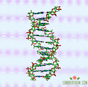 How genetic testing works