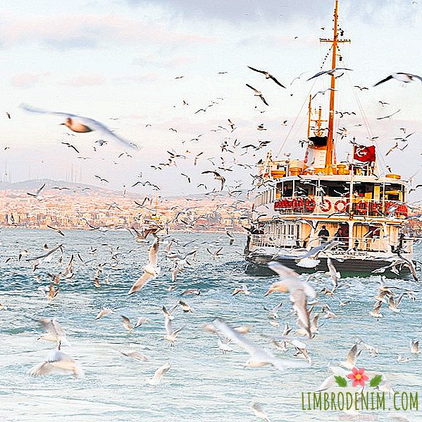 Hur slutade jag allt och flyttade för att bo i Istanbul