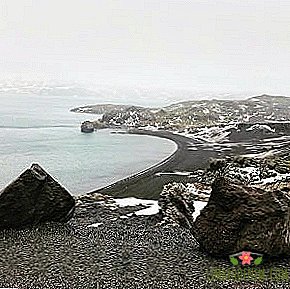나는 아이슬란드로 어떻게 이사 왔고 영원히 거기에 머물기로 결정했다.