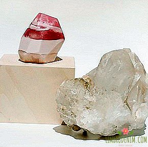 Stones of Fate: Why everybody buys beauty crystals