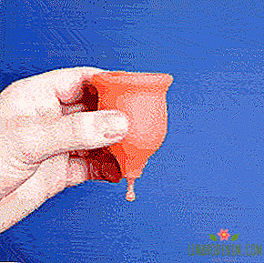 Menstruationstasse mit Keela-Cup-Applikator