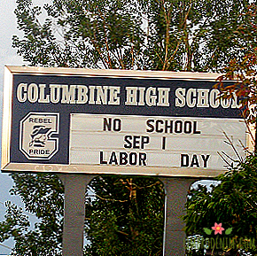 „Columbine“: tragedija, ki je postala simbol šolskega streljanja