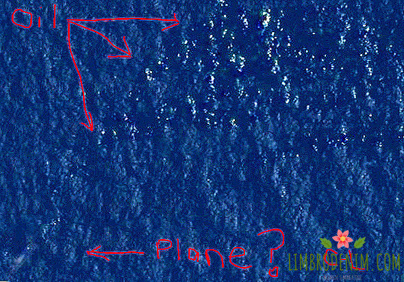 Courtney Love seems to have found the missing Boeing