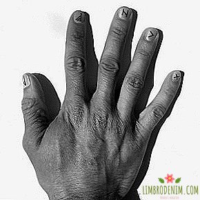 Manicure per mezzo anno: piccoli tatuaggi sulle unghie