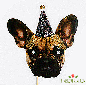 Masks for parties in the form of adorable animals