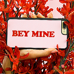 Merch Beyoncé para el Día de San Valentín