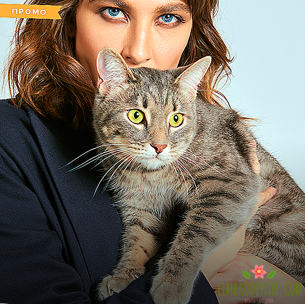 "Kucing saya patronus saya": Gadis tentang persamaan dengan haiwan kesayangan mereka