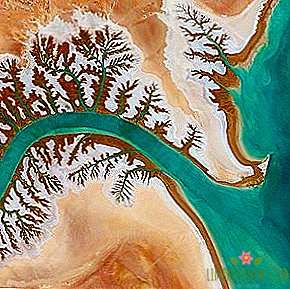 To whom to subscribe: Fantastic views of the Earth from space