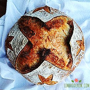 Til hvem du skal abonnere: Instagram om fødslen af ​​brød