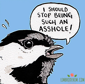 Para quem se inscrever: Comics sobre uma crise existencial através dos olhos dos pássaros